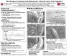 Poster of Morphological variations in firefly antennae: chemical versus visual signalers research