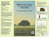 Poster of BVOC emissions impact
pollution and health in
urban areas research