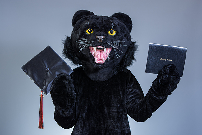 Panther mascot holding a diploma and a graduation cap.