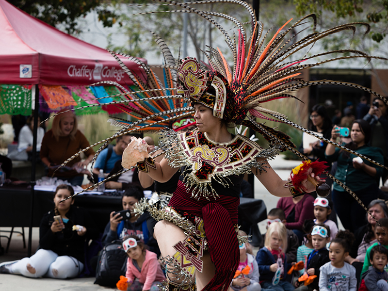 Nov-2017 Dia De Los Muertos Event