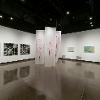 “Seeing the Unseen: Science and Art,” 2023. Wignall Museum of Contemporary Art at Chaffey College, Rancho Cucamonga, CA.