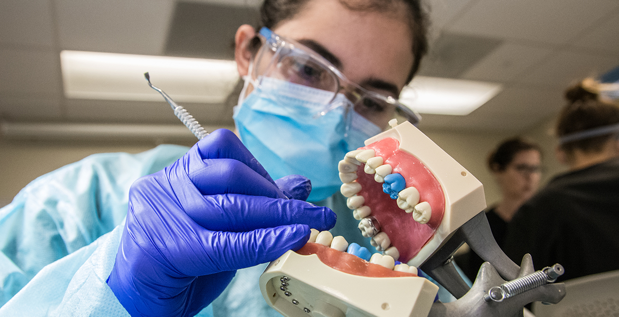 Dental assisting student holding a denture