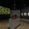 Installation view of “Seeing the Unseen: Math and Art,” January 8 – March 9, 2024. Wignall Museum of Contemporary Art, Chaffey College, Rancho Cucamonga, CA.