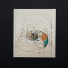 Rafael Araujo, “Nautilus,” 2012. Archival pigment print. 75 x 65 centimeters. 