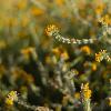 Tyler Meza
PHOTO-50 (Brice Bischoff): Introduction to Color Photography
