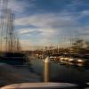Briana Ramos
PHOTO-7 (Bjarne Bare): Beginning Digital Photography
