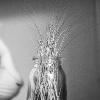 Deserae Cullens 
PHOTO-7 (Kathy Haddad): Beginning Digital Photography
