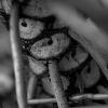 Jennifer Serrano 
PHOTO-7 (Kathy Haddad): Beginning Digital Photography
