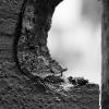 Michael Taylor 
PHOTO-7 (Kathy Haddad): Beginning Digital Photography
