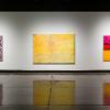 Installation view of Affirmations: Mindfulness in Contemporary Abstract Painting; featuring David Allan Peters, Rema Ghuloum, and June Edmonds. January 13 – March 8, 2025. Wignall Museum of Contemporary Art at Chaffey College, Rancho Cucamonga, CA. Photography by Cindy Dillingham.