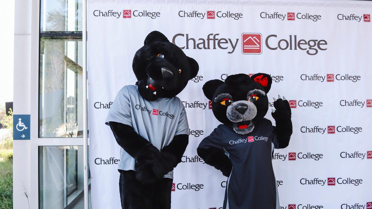 Two panther mascots in Chaffey College shirts stand in front of a backdrop with the college's logo, one with a red bow on its ear, posing cheerfully indoors.