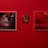 Installation view of work by Milla Nava, Student Invitational 2026, featuring Milla Nava.  April 27- May 14, 2026. Wignall Museum of Contemporary Art, Rancho Cucamonga, CA. Photography by Cindy Dillingham.
