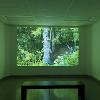 Leah Piepgras, “Nature Lover,” 2024, 4:13 min.