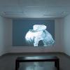 Marne Lucas and Tyler Hubby, “CHTHONIC FATIGUE SYNDROME,” 2023, 4:20 min.