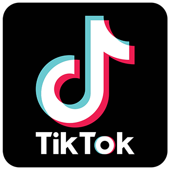 tiktok icon