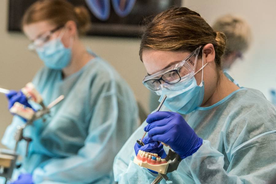Dental assisting students participate in a lab exercise.