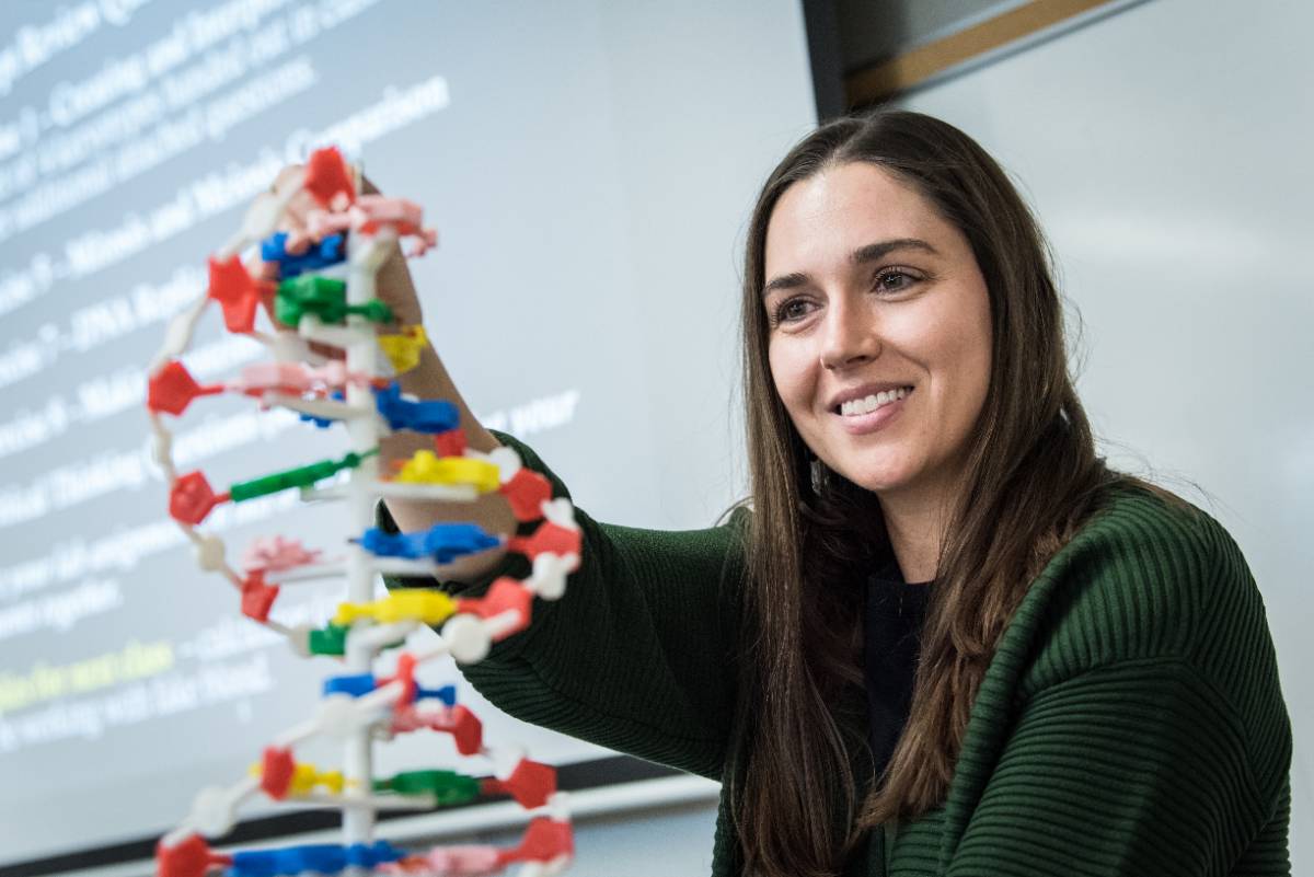 A professor holds up a DNA strand model during a biology class.