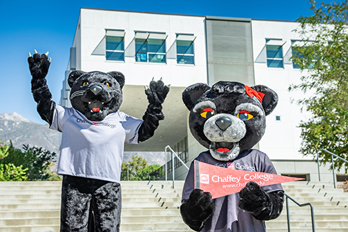 panthers standing on stairs