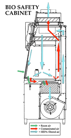 Diagram of the ventilation system of a biosafety cabinet (BSC)