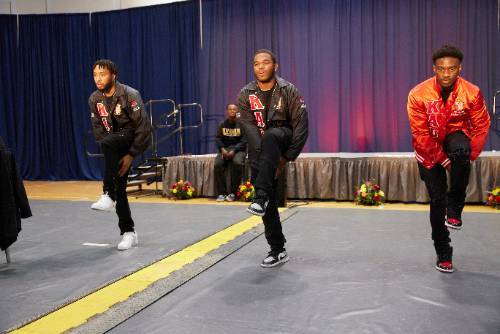 UCLA steppers