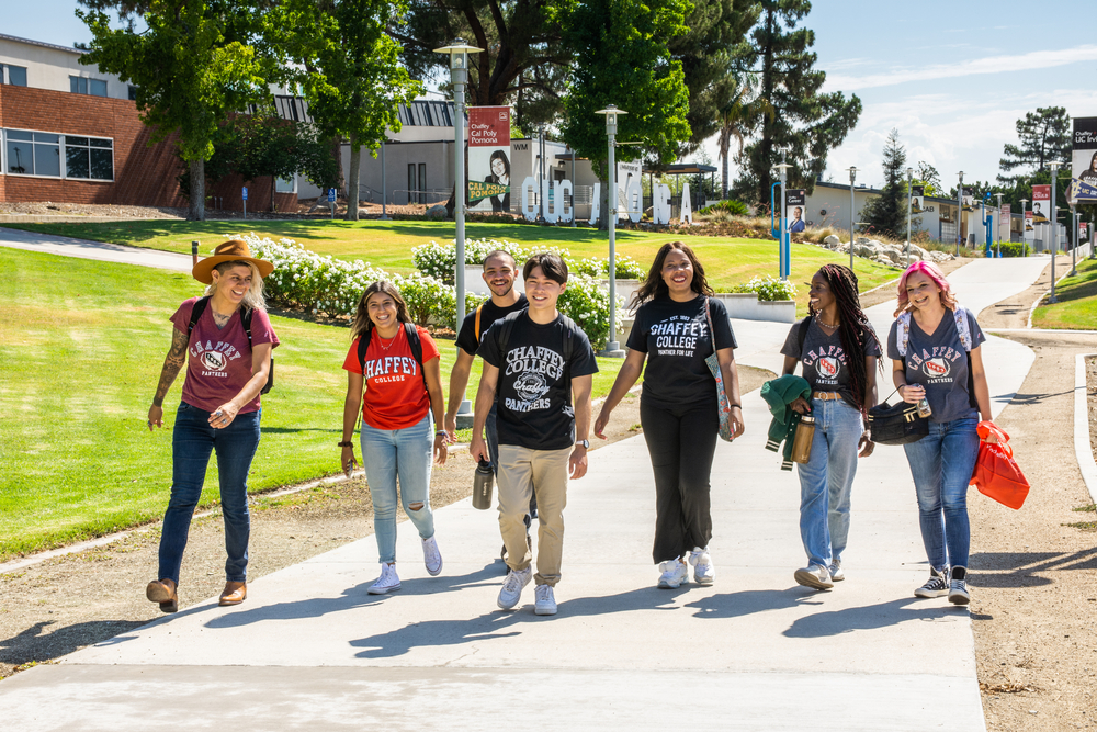 Students walk on campus