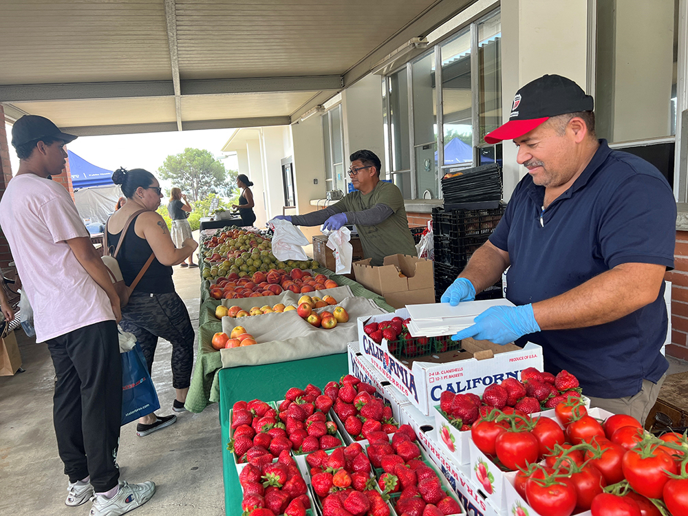 Vendors participate in Farmers Market