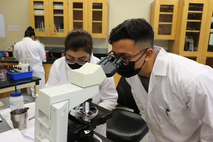 students in microbiology class looking in a microscope