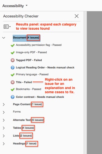 screenshot of issues found by the accessibility checker