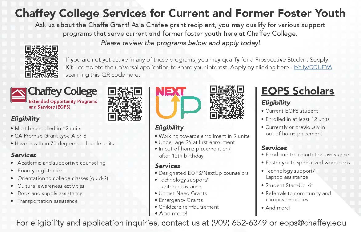 NextUp Program Flyer