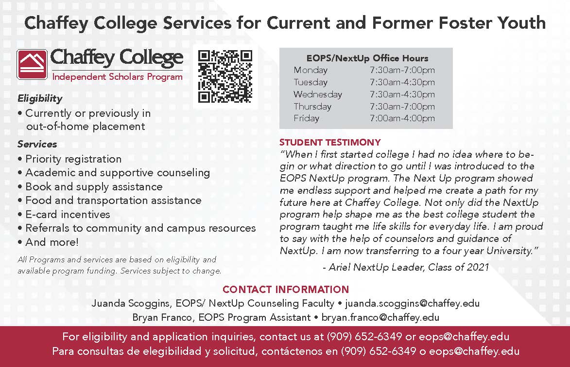 NextUp Program Flyer 2